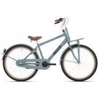 BIKEFUN 20LJD100 20INCH JONGENS LOAD REMNAAF MAT STORMY / LICHT BLAUW MET VOORDRAGER