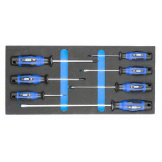 CYCLUS FOAM NR.2 (BLAUW) INCLUSIEF SCHROEVEDRAAIERS SLEUF EN KRUISKOP