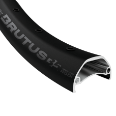 RODI BRUTUS 30 VELG 28 INCH 13G/36H DISC ZWART