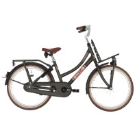 BIKEFUN LOAD 20LMD197 20 INCH REMNAAF MEISJES ELEGANCE GREEN MAT MET ACHTERDRAGER