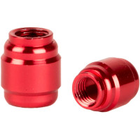 ELVEDES HYDROLISCHE OLIJFJES AVID/SRAM (30 STUKS)