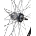 KGS ACHTERWIEL 28 INCH (622) RYDE VELG ZWART SHIMANO REMNAAF KGS ACHTERWIEL 28 INCH (622) RYDE VELG ZWART SHIMANO REMNAAF