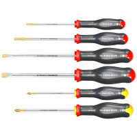 FACOM SET VAN 6 SCHROEVENDRAAIERS