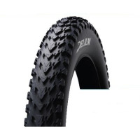DELI TIRE BUITENBAND THUNDR FATBIKE 20 INCH 20X4.00 102-406 102/90-406 ZWART SA-312