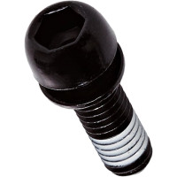 AVID SCHIJFREM BOUT MET BORGRING M6X18 ZWART ZAKJE 2 STUKS