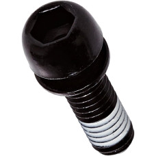 AVID SCHIJFREM BOUT MET BORGRING M6X18 ZWART ZAKJE 2 STUKS